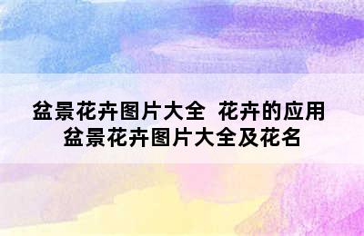 盆景花卉图片大全  花卉的应用 盆景花卉图片大全及花名